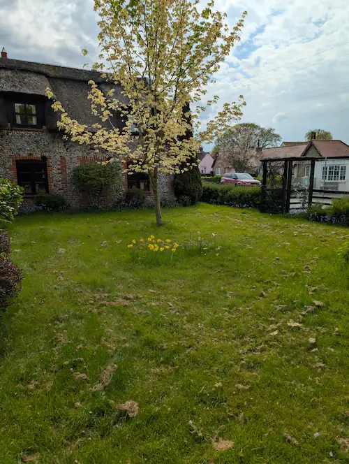 Overgrown front garden